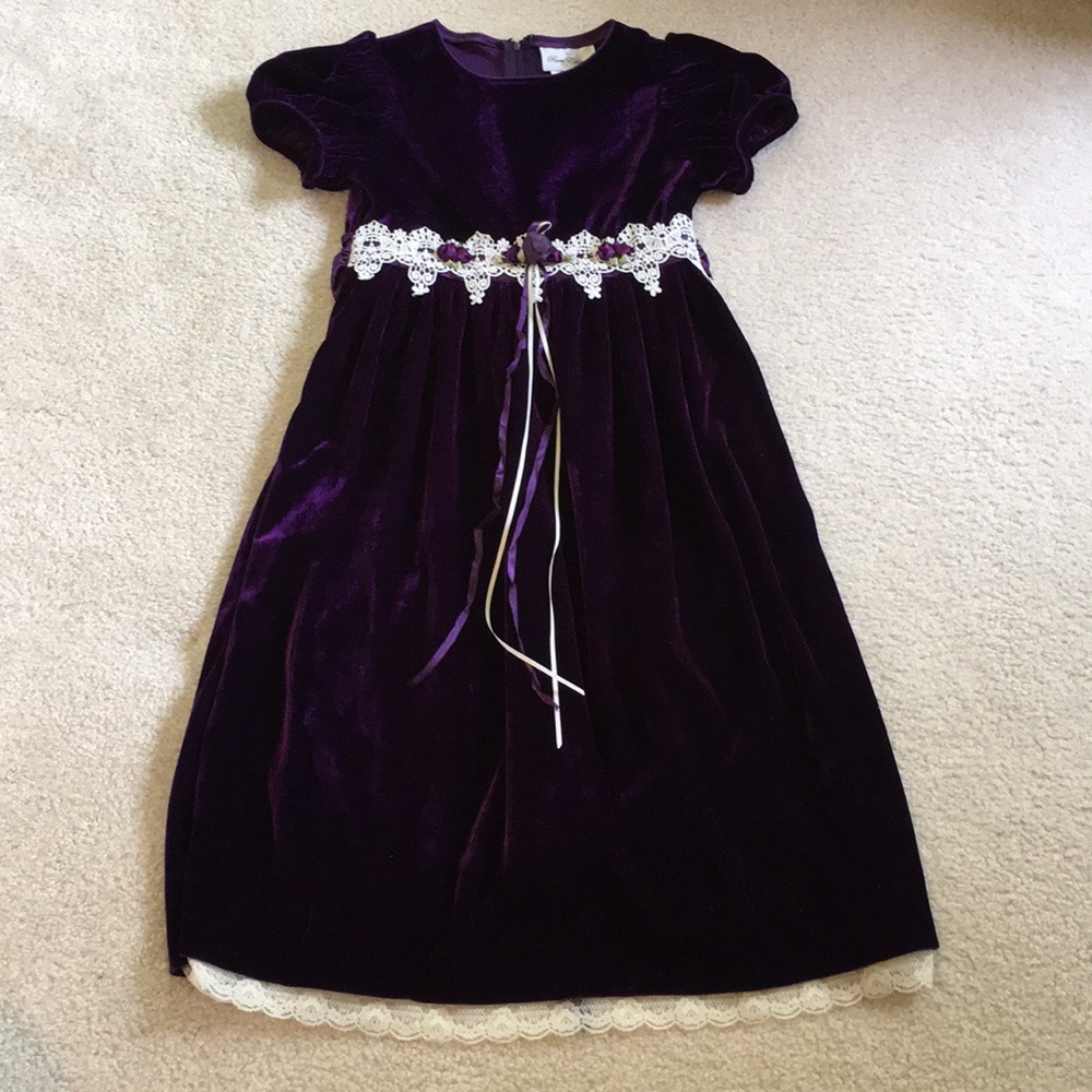 EUC gorgeous Rare Editions velvet dress